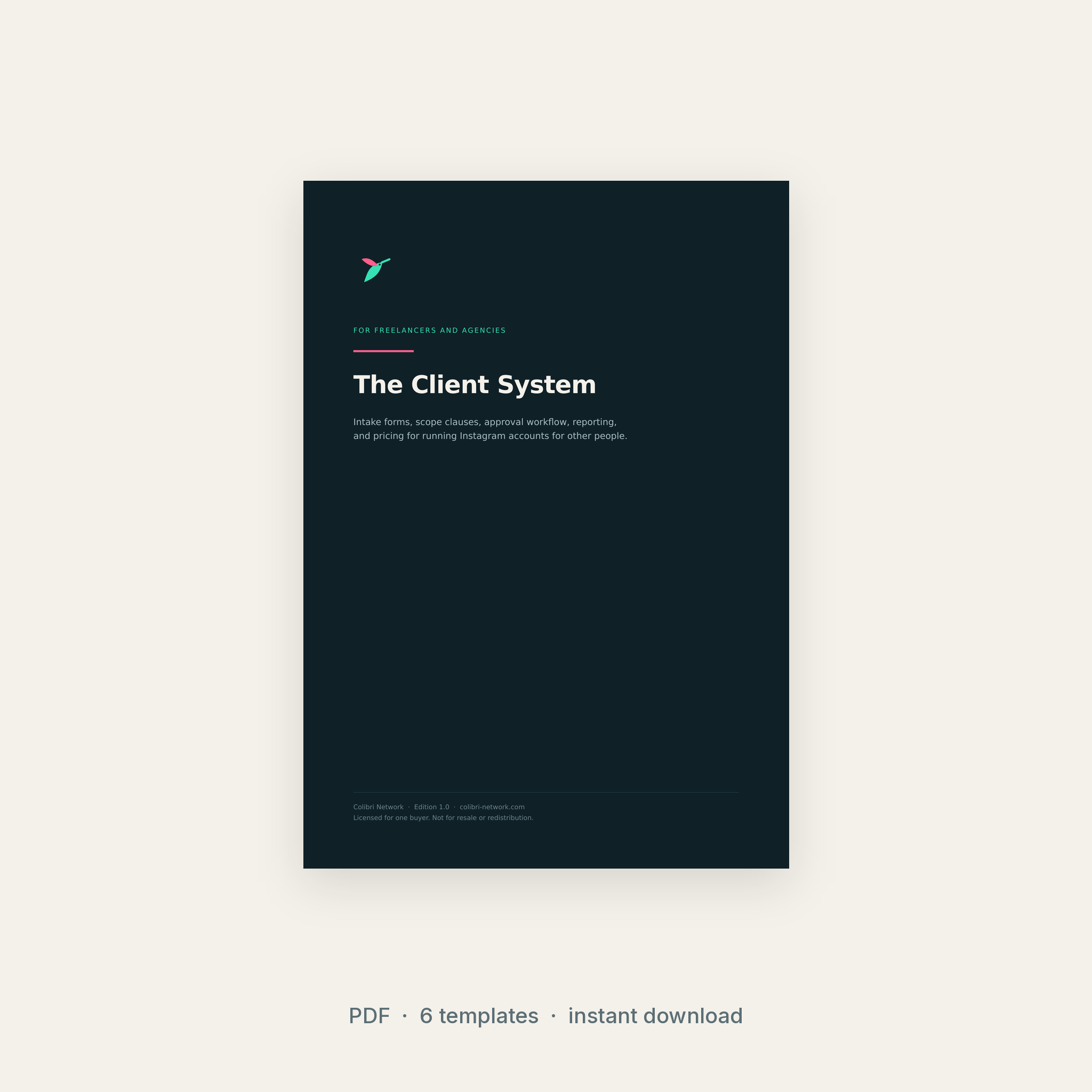 The Client System